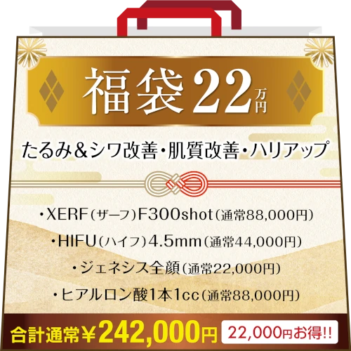 26年福袋22万円