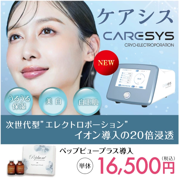 ケアシス(CARESYS)