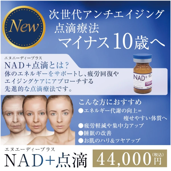 NAD+:エヌエーディープラス